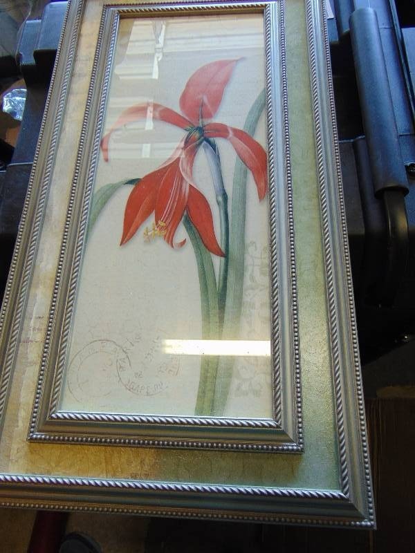 lot 9039 image: Framed Lily Print, 24 x 14