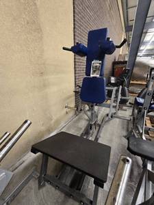 lot 1537 image: Hammer Strength V-Squat