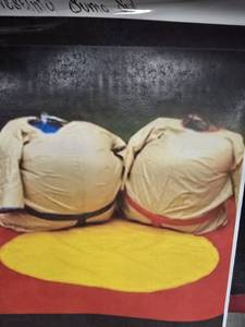 lot 9819 image: Sumo Wrestling Mat and Suits