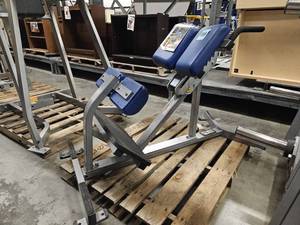 lot 9517 image: Hammer Strength Back Extension
