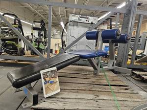 lot 9542 image: Hammer Strength 45° Back Extension