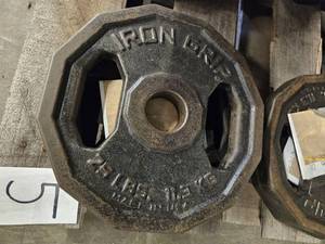 lot 9601 image: (2) 25lbs Iron Grip Flat Weights