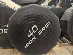 lot 9755 image: (1) 40lb Iron Grip Curl Bar