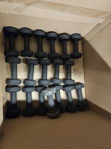 lot 9798 image: (18) 10lb Back Valeo Dumbbells