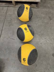 lot 9800 image: (3) 6lb Weighted Balls