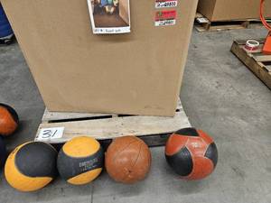 lot 9802 image: (4) 10lb Weighted Balls