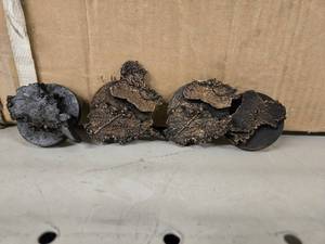 lot 20785 image: (4) Statue Medallions