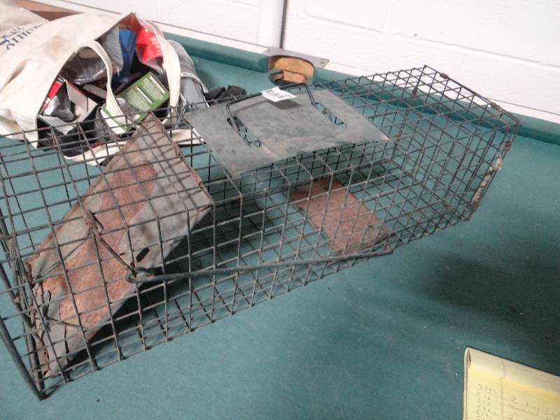 lot 584 image: Small live trap