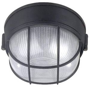 lot 10180 image: Canarm IOL17BK The Outdoor 1-Bulb Flush Mount Exterior Light with Frosted Glass Globe, Black