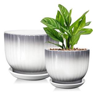lot 1262 image: YUFDA 6.7  5.5 Inch Plant Pot, Ceramic Planter with Drainage and Saucer, Ceramic Pots for Plants, Indoor Plant pots,Ceramic Flower potsGray  White, Plants NOT Included
