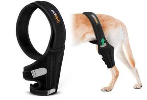 lot 4456 image: Lyderpet Dog Knee Brace for Torn ACL Hind Leg, Rear Leg Braces for Dogs Luxating Patella, Metal Spring Strong Support and Flexible Joint Care, Easy to Put On and Off Dog Braces for Back Leg (XXL)