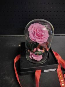 lot 5880 image: Preserved Pink Rose in Glass Dome Display