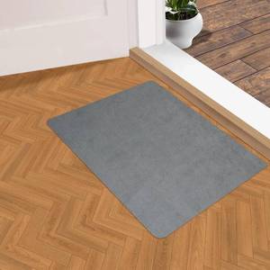 lot 6198 image: YOFTLUJU 110 Inch Ultra Thin Doormat Indoor, Non Slip Absorbent Resist Dirt Entrance Mat, Washable Front Door Rug, Low Profile Inside Floor Mat Doormats for Entryway, 16in x 24in, Light Grey