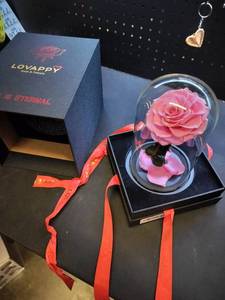 lot 7712 image: Love Happy Eternal Rose