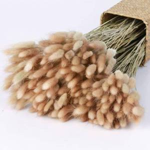 lot 8448 image: Donghome 120pcs 17in Bunny Tails Dried Flowers Brown Pampas Grass Natural Rabbit Tail Grass Dry Floral Arrangement for Boho Wedding Decor,Baby Birthday Party