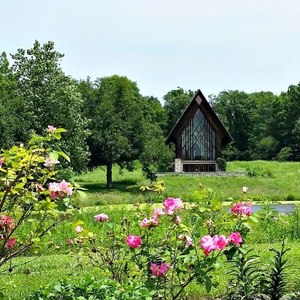 lot 4000 image: Perfect Date Adventure Dining & Strolling Through Nature & 54th Street Gift Card