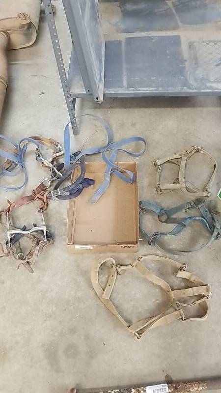 lot 7082 image: Horse Bridle Lot- Other Equipment As Well