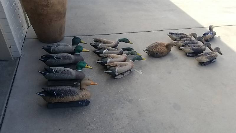 lot 7073 image: Duck Decoy Lot- Bag and Weights Included