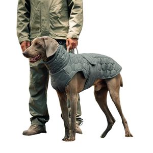 lot 10692 image: PawVogue Dog Winter Coat with Fleece-Lined & Waterproof Layer, Adjustable Reflective Jacket for MediumLarge Dogs, Secure Hook-and-Loop Design (Grey,Large)