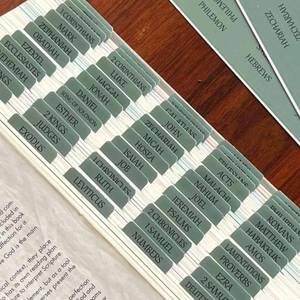 lot 10800 image: Reposition Large Text Bible Tabs, Contrast Color Bible Stickers for Women and Men, Easy to Read and Apply Bible Journaling Tabs (Morandi Green)