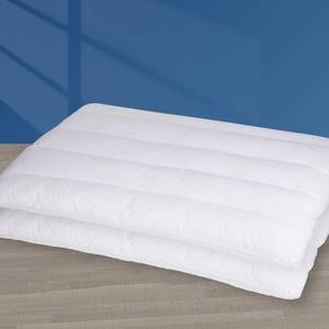 lot 76566 image: MINUPWELL 2 Packs Ultra Flat Pillows for Sleeping Thin, 7D High Support 2.5 inch Height Ultra Thin Pillows,Slim Bed Pillows for Stomach Sleeper,Standard Size -18x26 in