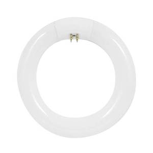 lot 24881 image: (2)Feit Electric 30W Equivalent Cool White Circline T9 CFL Light Bulb