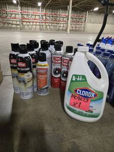 lot 44248 image: Clorox, Wasp Spray, Brakleen, & Starter Fluid