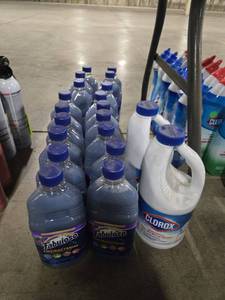 lot 44249 image: Fabulous Anti Bacterial & Clorox Bleach
