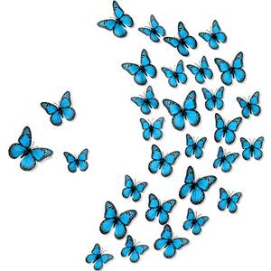lot 7004 image: Chuangdi Monarch Butterfly Decoration 3 Size Fake Butterflies Realistic Butterfly Crafts Artificial Wall Decor for Craft Home Wedding Classroom Birthday Party Decorations(Blue,48 Pack)