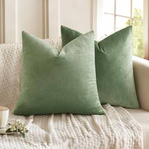 lot 2978 image: MIULEE Pack of 2 Sage Green Pillow Covers 20x20 Inch Decorative Velvet Throw Pillow Covers Modern Soft Couch Throw Pillows Farmhouse Home Decor for Spring Sofa Bedroom Living Room