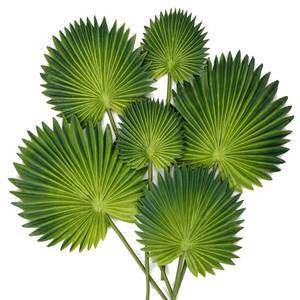 lot 7045 image: 6 Pcs Pu Foam Artificial Palm Leaves Faux Palm Tropical Leaves Fake Palm Fronds for DIY Wedding Bouquets Fake Leaves for Centerpieces Arrangements Bridal Shower Palm Leaf for Party Home Decorations
