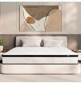 lot 11350 image: Queen Mattress 10 Inch  Queen Size Hybrid Mattresses in a Box  Medium Firm Feel Memory Foam and Individual Pocket Springs  Fiberglass Free Bed Matress  Breathable  CertiPUR-US  Upgrade