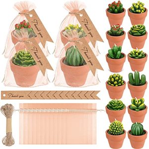 lot 1826 image: A 12 Pieces Succulent Candle Mini Cactus Tealight Candles Succulent Party Favors Novelty Fiesta Terrarium Plant Candles with Terracotta Pot Organza Bag Tags Twine for Birthday Wedding Baby Shower Party
