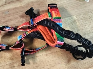 lot 2069 image: Adjustable Pet Harness with Multicolor Serape Pattern S