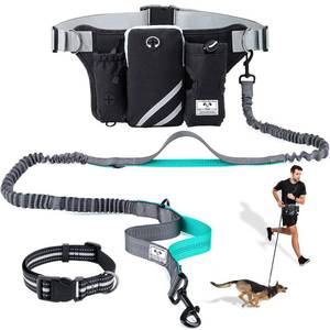 lot 6437 image: SHINE HAI Retractable Hands Free Dog Leash with Dual Bungees for Dogs, Adjustable Waist Belt Bag, Reflective Stitching Leash for Running Walking Hiking Jogging Biking (for 1 Dog)
