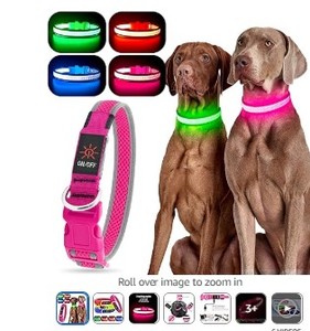 lot 2020 image: YFbrite Light up Dog Collar, USB Rechargeable LED Puppy Collar Super Bright Adjustable Glowing Dog Lights for Night Walking (Pink, Small)