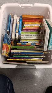 lot 1032 image: Books (Schoolastic)