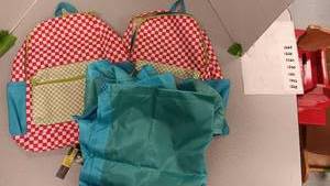 lot 1227 image: 2 Back Packs, 4 Magnet Cloths