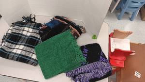 lot 1231 image: 4 Throw Blankets