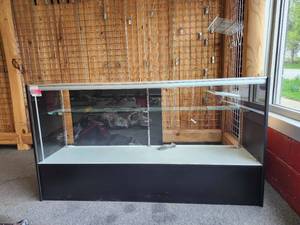 lot 10982 image: Commercial Glass Display Case with Adjustable Shelves