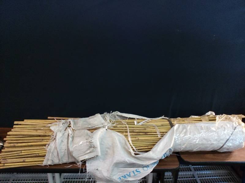 lot 48 image: Natural Bamboo Stakes