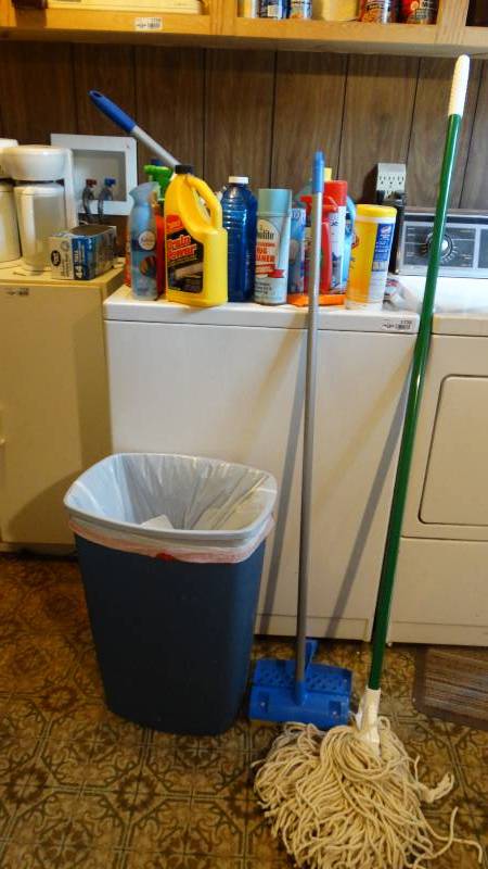 lot 1727 image: Assorted cleaners and mops.