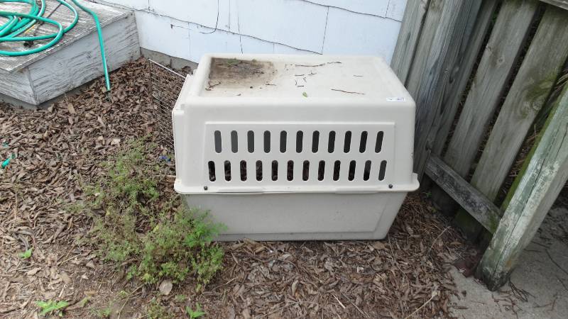 lot 1799 image: Large pet porter, 36 L x 24 W x 26 H.