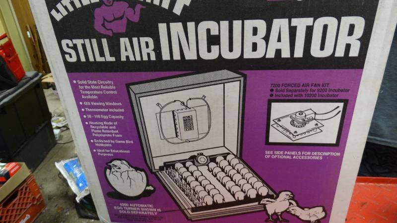 lot 5013 image: Little giant, Still air incubator, model 9200.