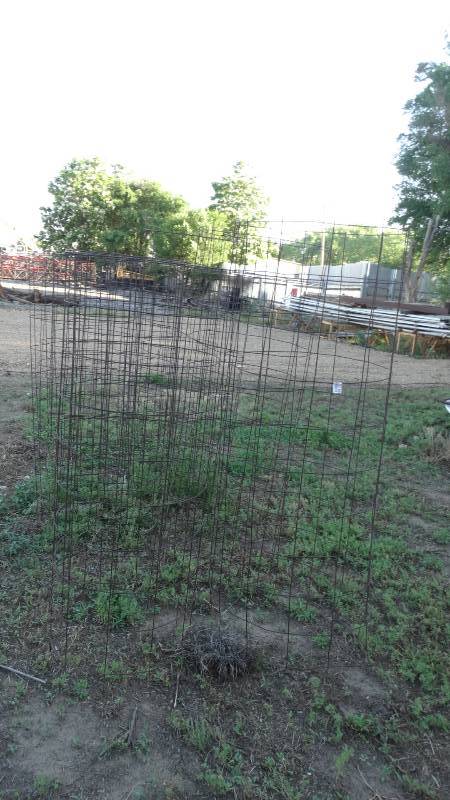 lot 5185 image: 16 tomato cages.