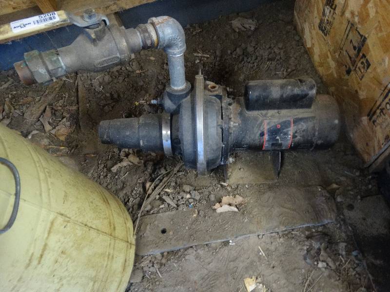 lot 5208 image: Starite premium quality pump.