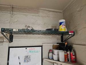 lot 7517 image: Commercial Wall-Mounted Wire Shelf Unit