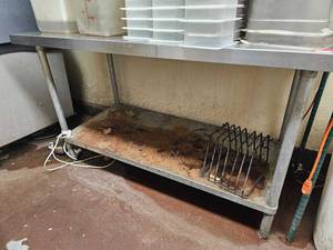 lot 7523 image: Commercial Stainless Steel Kitchen Work Table with Undershelf 60