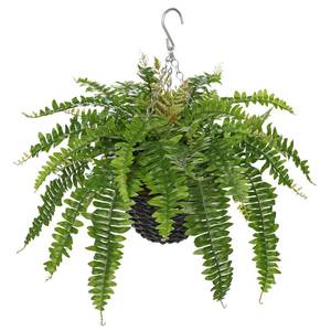 lot 1919 image: Hollyone 25 Artificial Boston Fern Hanging Basket 31 Leaves Fake Ferns in Rattan Pot Medium Greenery Plants for Outdoors & Indoor Faux Fern Bush Basket Plant Patio Garden Home Decor Green