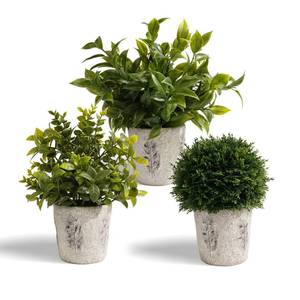 lot 5311 image: PENGYEE 3 Pack Artificial Plants in Cement Planter (11.4210.839.21 Inch) - Fake Plants Indoor Outdoor, Small Realistic Greenery for Home Decor, Bathroom, Bedroom, Kitchen & Office
